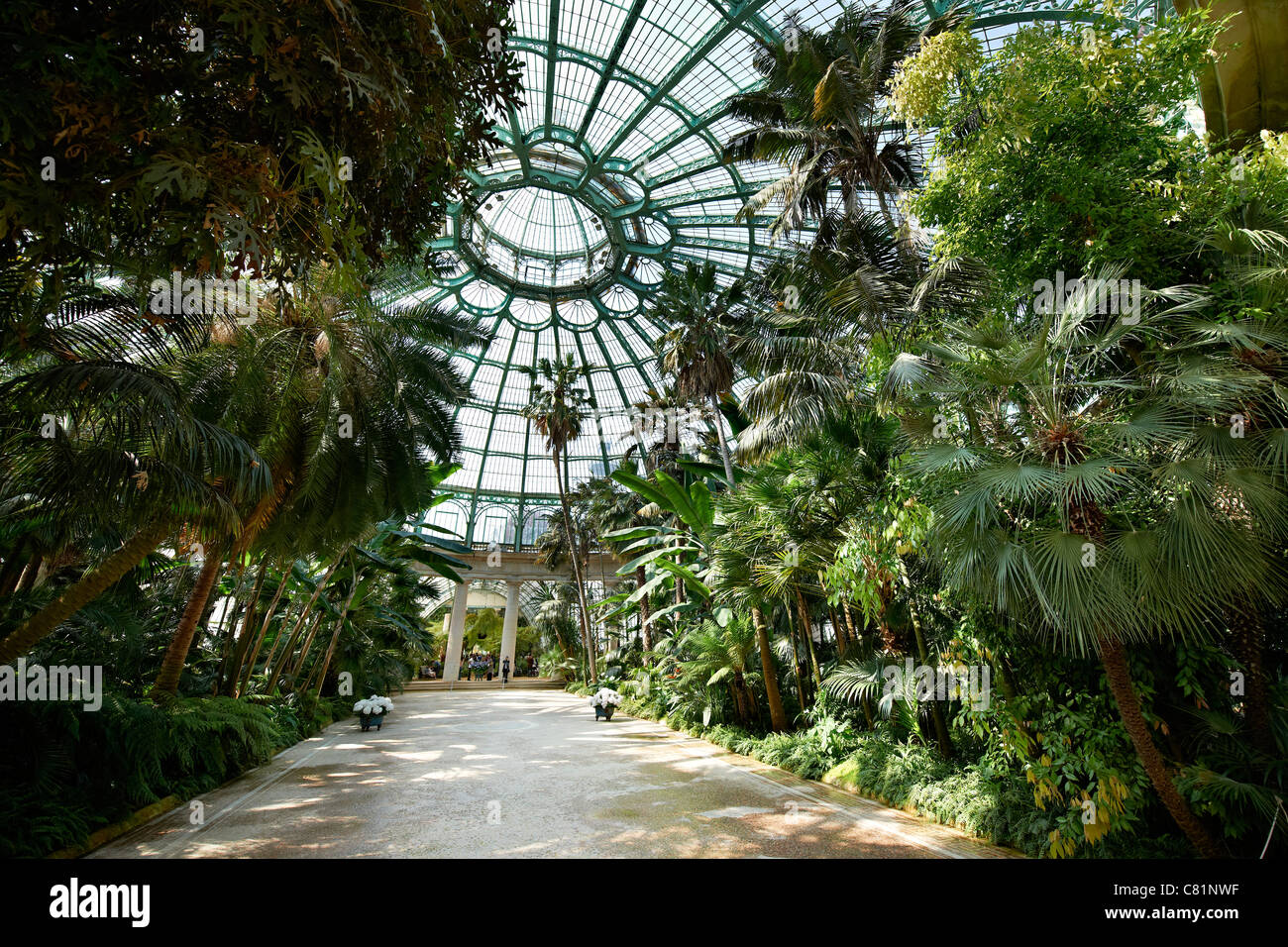 interior view of 'Jardin d'hiver', Royal Greenhouses of Laeken, Royal Castle of Laeken, Brussels, Belgium, Europe Stock Photo