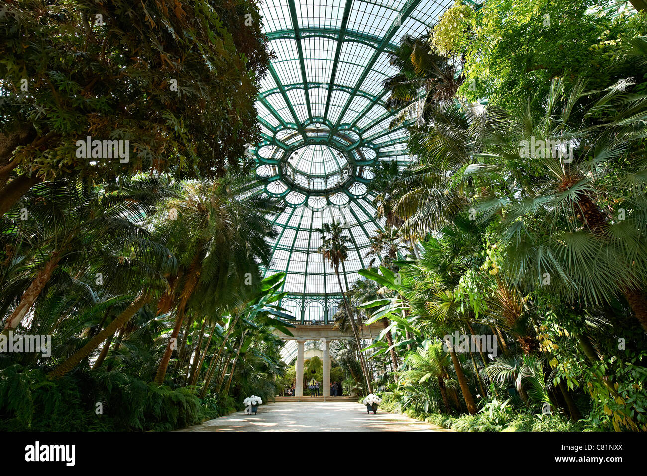 interior view of 'Jardin d'hiver', Royal Greenhouses of Laeken, Royal Castle of Laeken, Brussels, Belgium, Europe Stock Photo