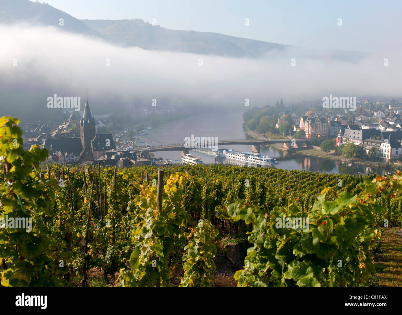 Early morning view of Bernkastel-Kues village from vineyard on River Mosel in Mosel valley in Germany Stock Photo