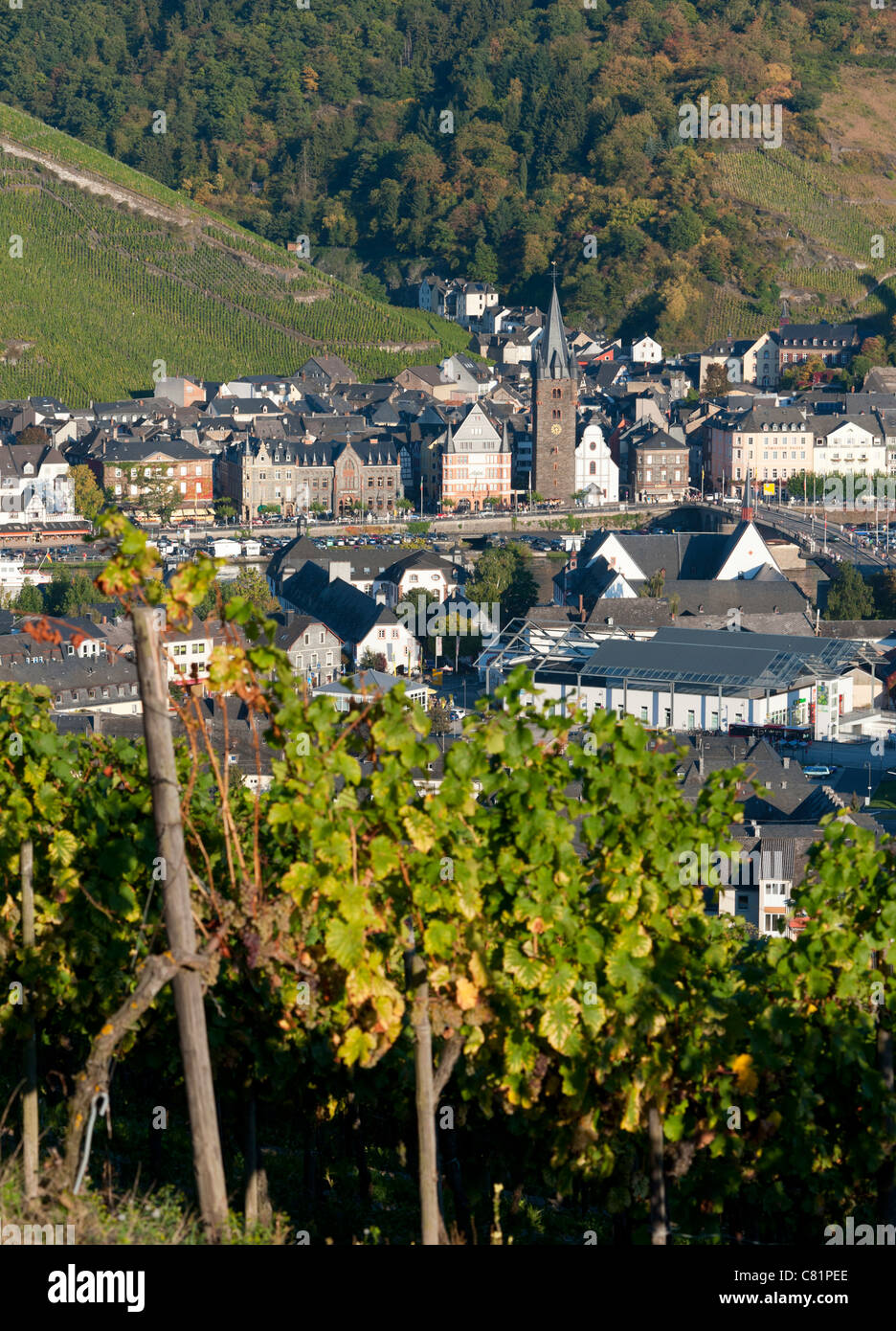 Afternoon view of Bernkastel-Kues village from vineyard on River Mosel in Mosel valley in Germany Stock Photo
