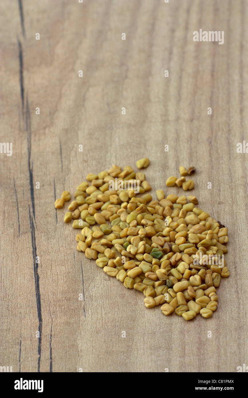 Selective focus image of fenugreek placed on a wooden board with copy space. Stock Photo