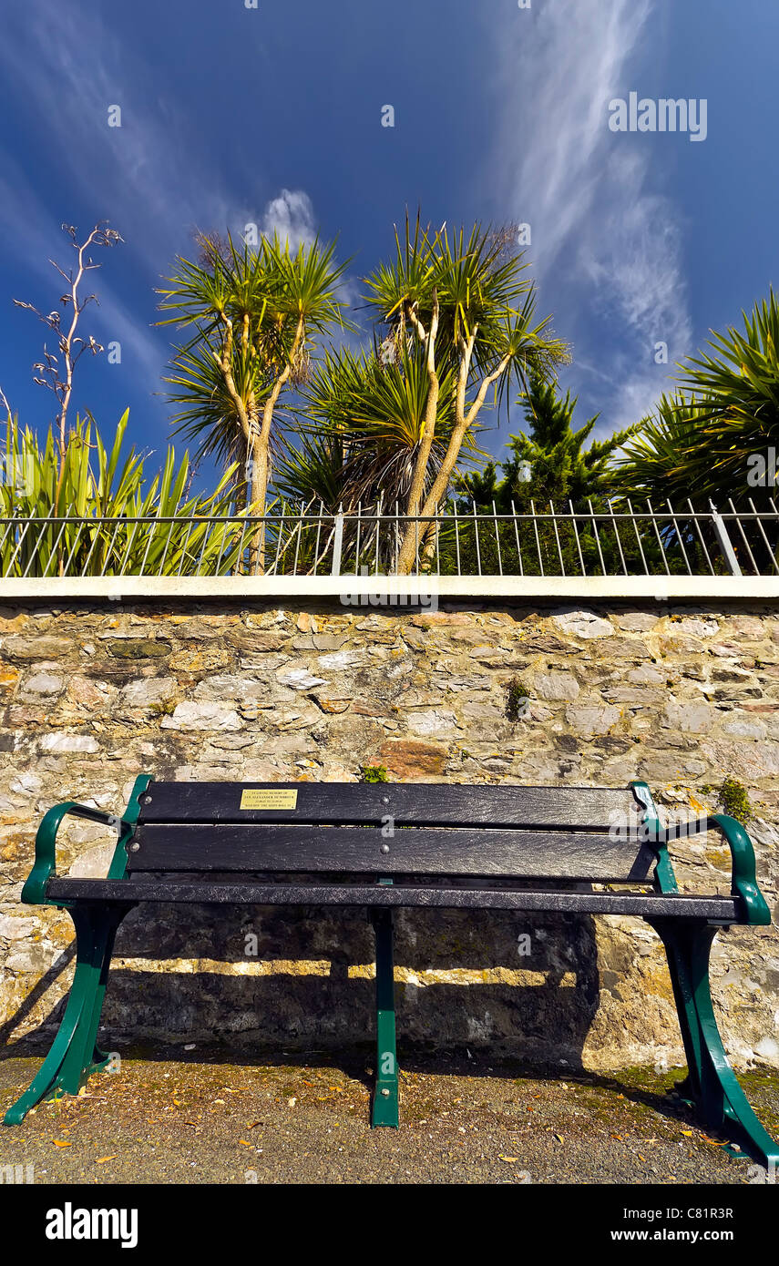 'In Memory' bench overlooking Firestone Bay at Devils Point in Plymouth with Palm trees standing tall into the deep blue sky Stock Photo