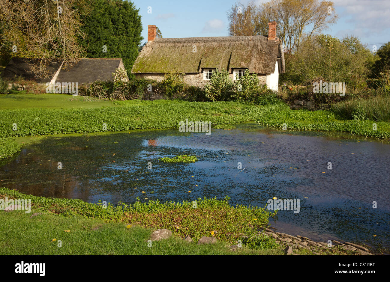 Village pond waterfall and thatched cottage in East Quantoxhead Somerset England Stock Photo