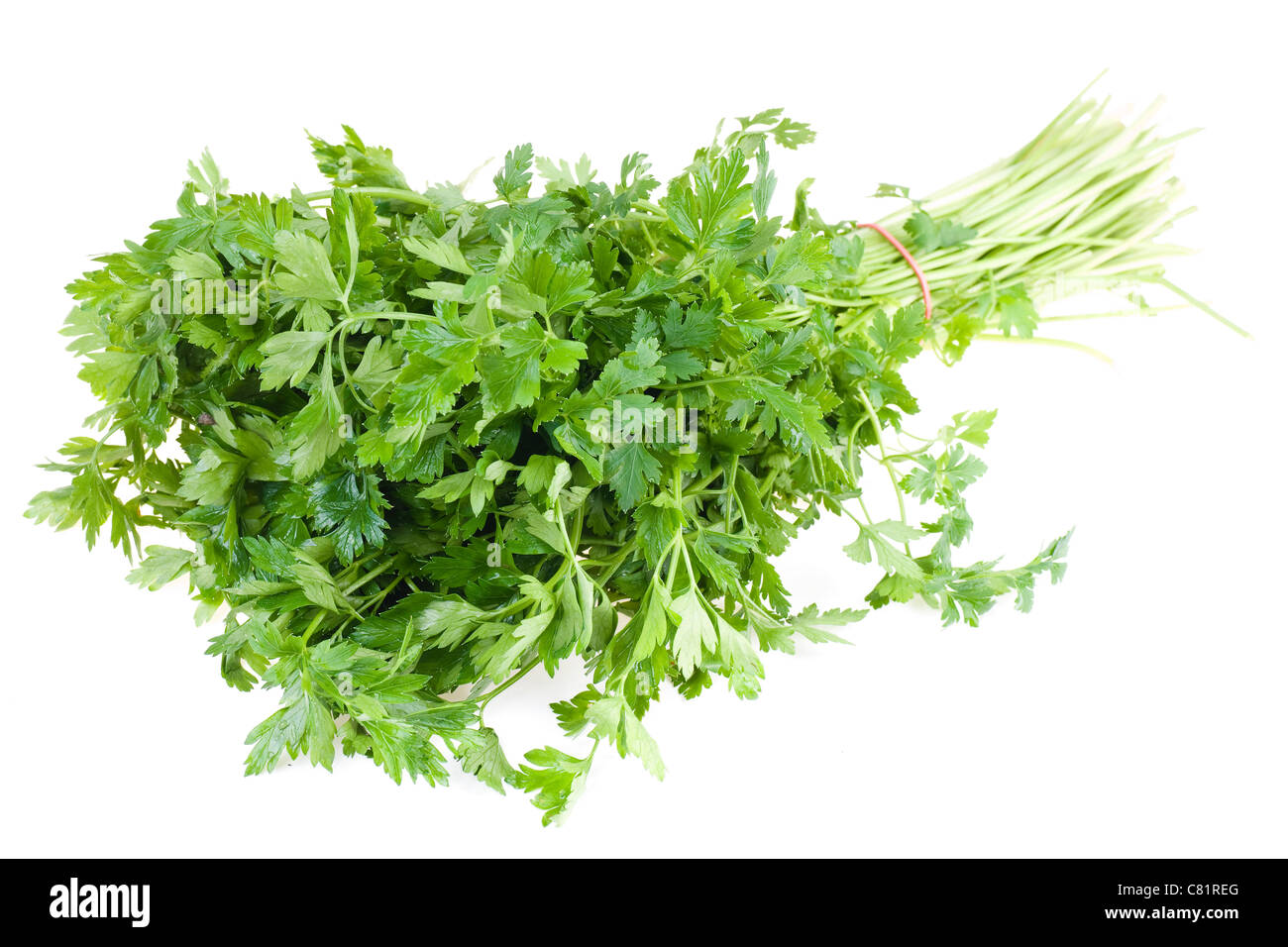 Bunch parsley Stock Photo