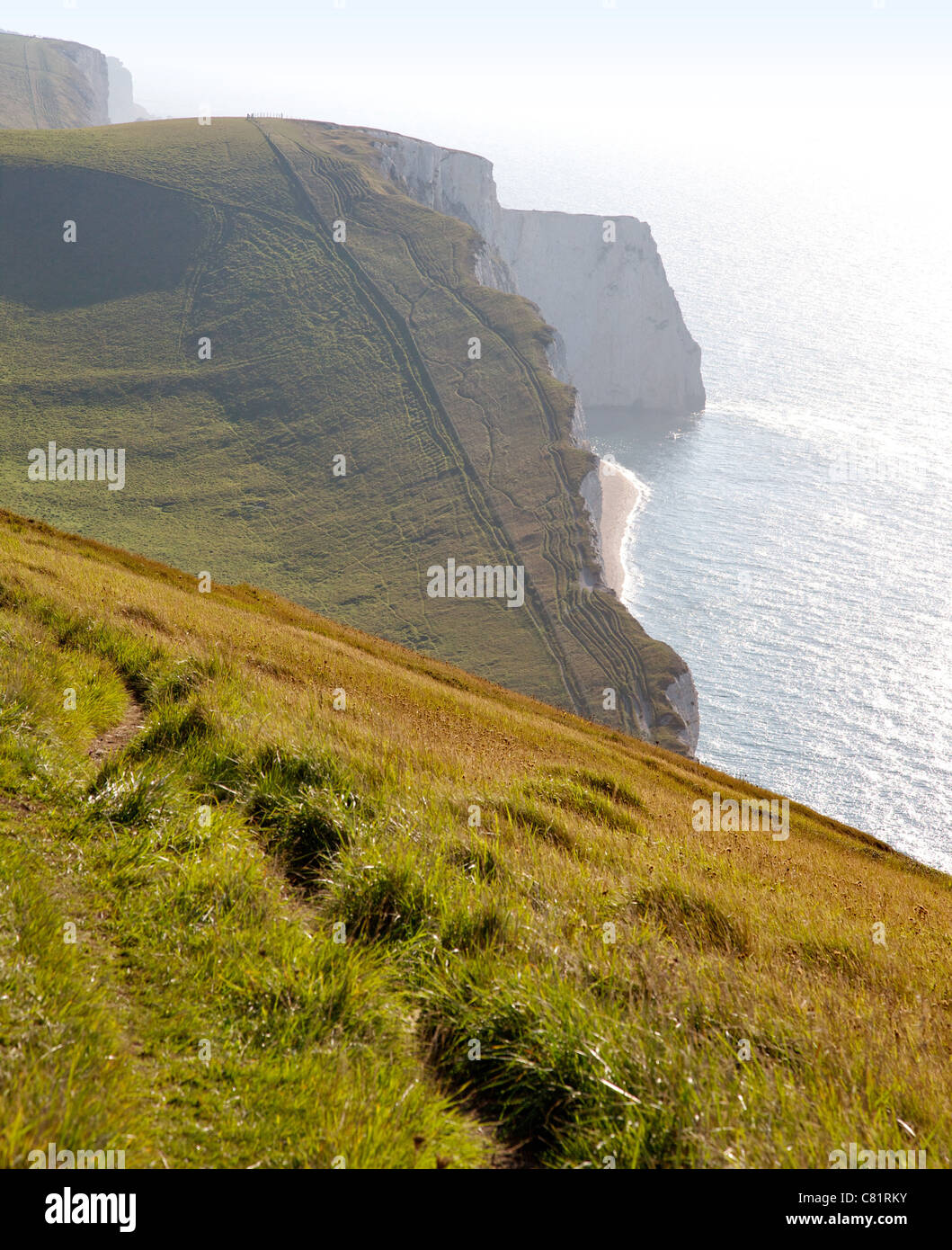 Chalk cliffs at Swyre Head near Durdle Door and Lulworth Cove in Dorset showing the South West Coast path along the cliff edge Stock Photo