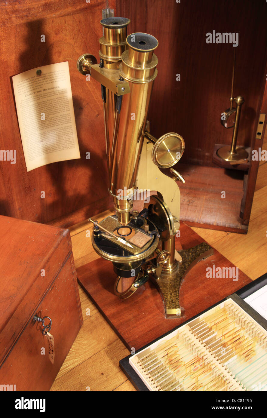 antique brass microscope with old wooden boxes and glass slides Stock Photo