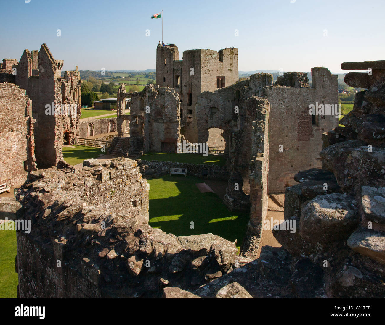 View over the ruined ranges of Raglan Castle to the Great Tower flying the Welsh flag Stock Photo