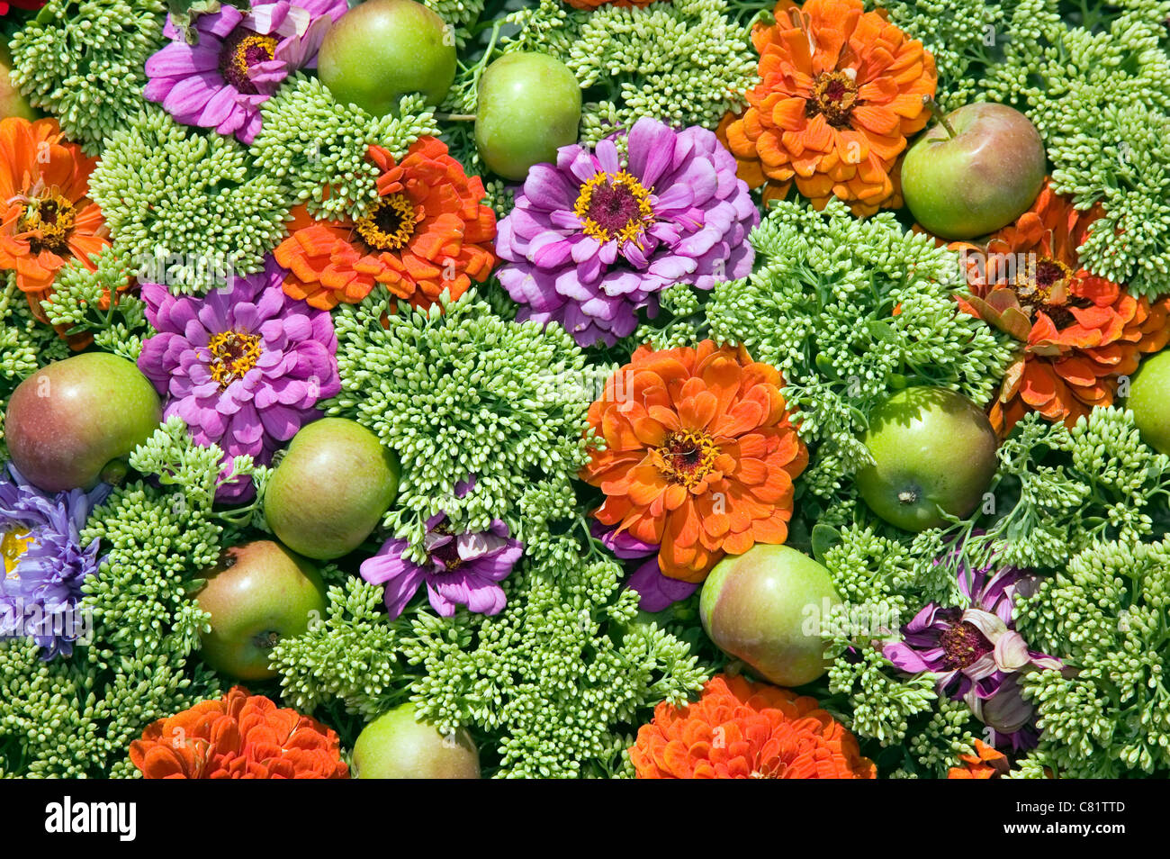 Various floral plants hi-res stock photography and images - Alamy