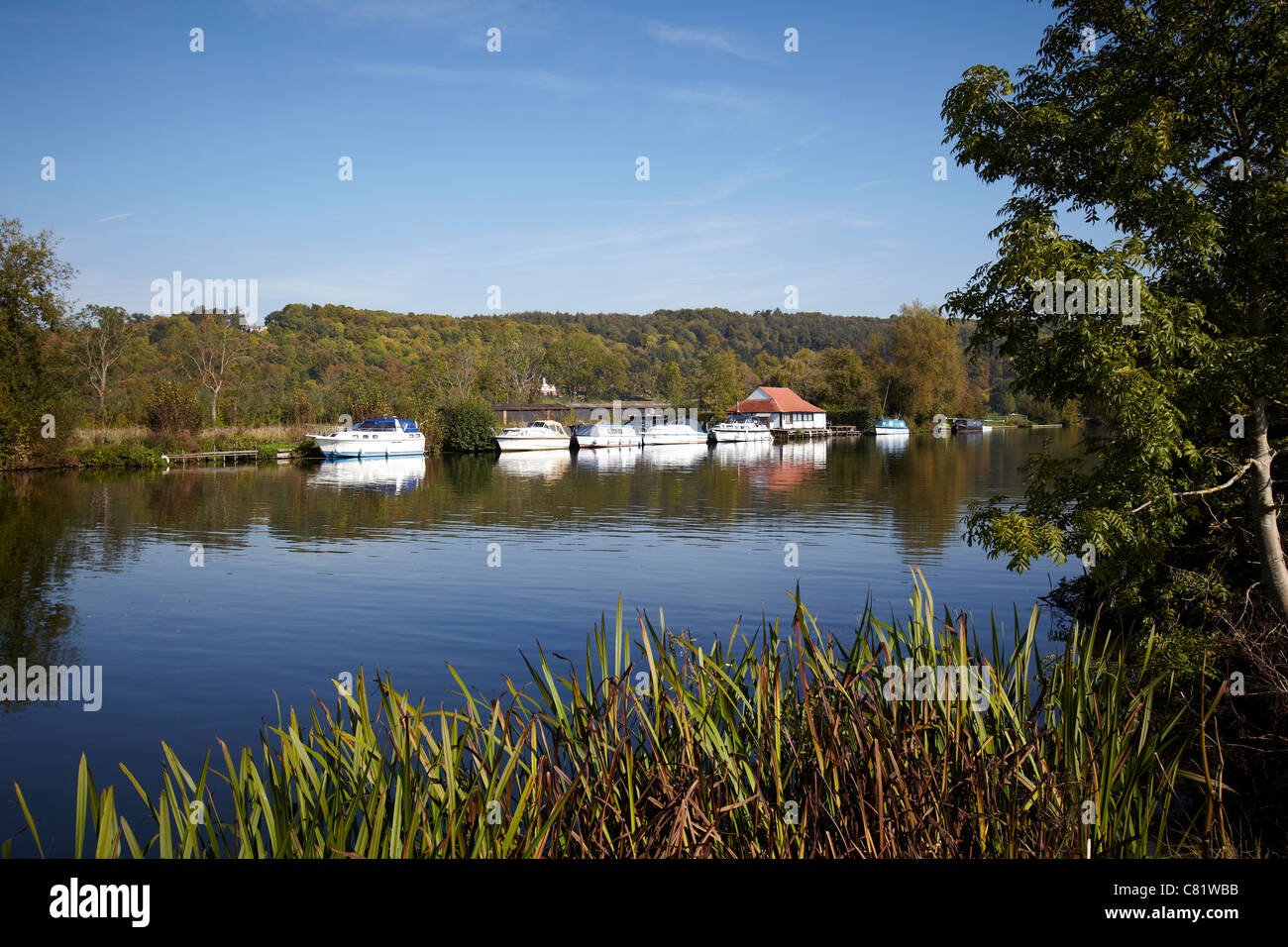 Boats moored alongside the River Thames near to Pangbourne, Reading, Berkshire. Stock Photo