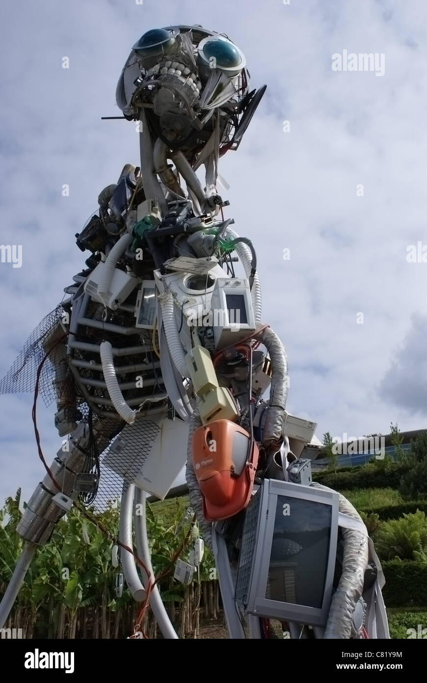 Giant Weee man modern sculpture at the Eden Project Stock Photo Alamy