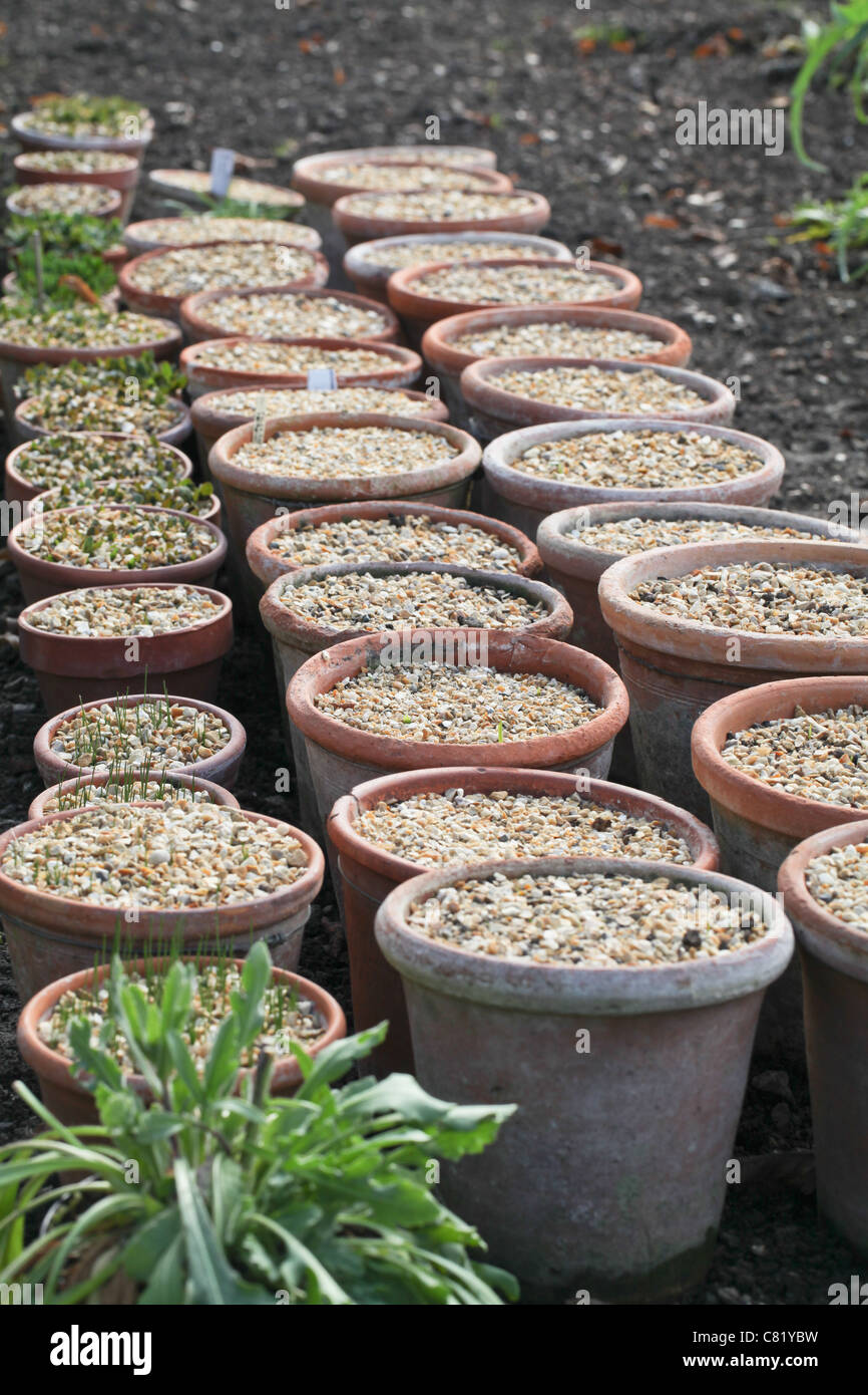 Row of terracotta pots with gravel Stock Photo