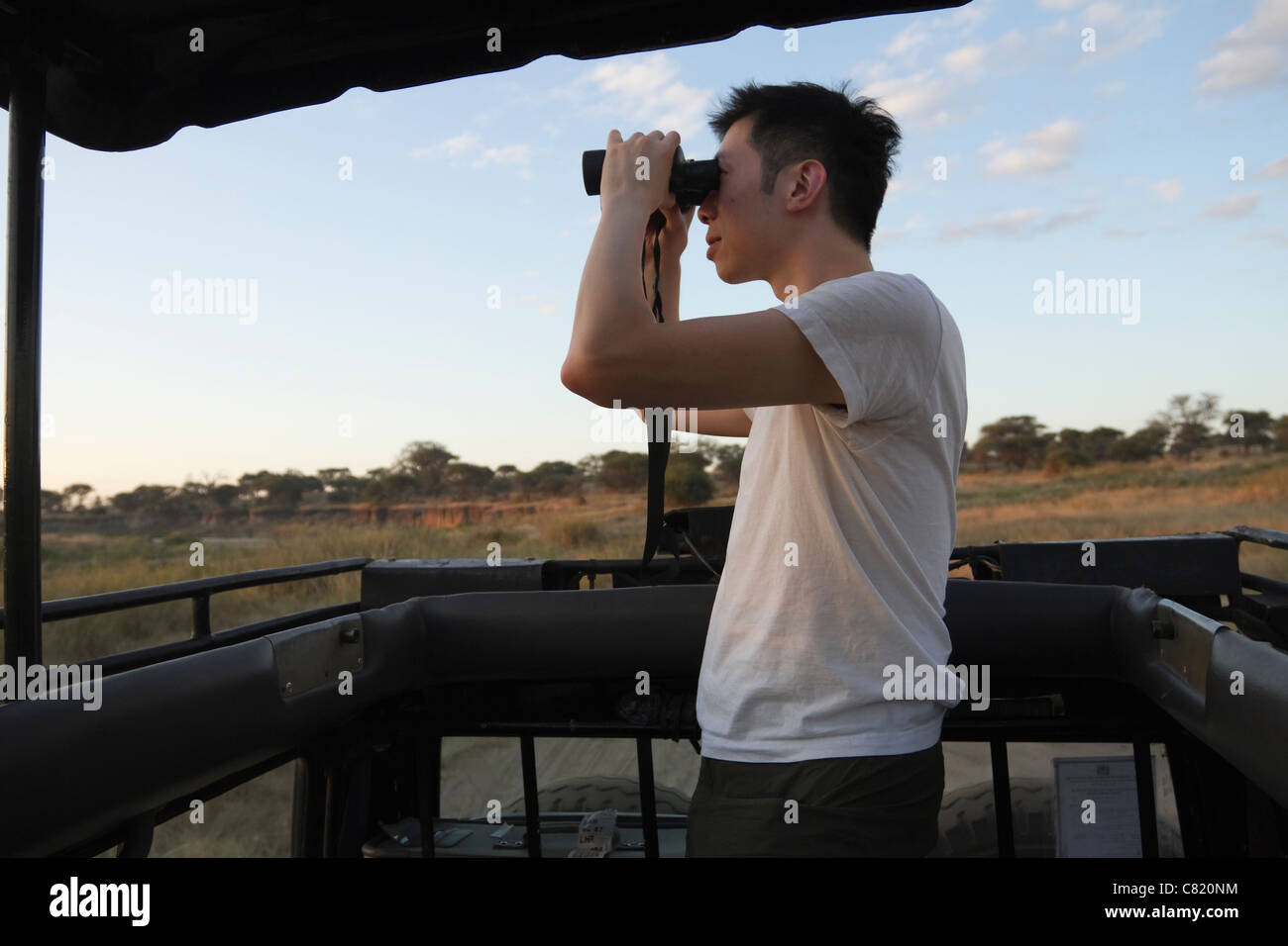 Chinese man riding in truck on safari using binoculars Stock Photo