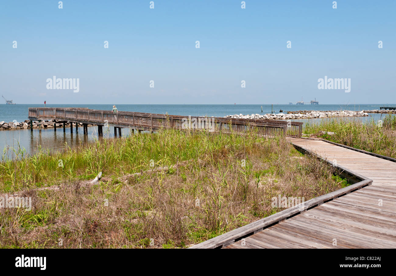 Estuarium at the dauphin island sea lab hires stock photography and