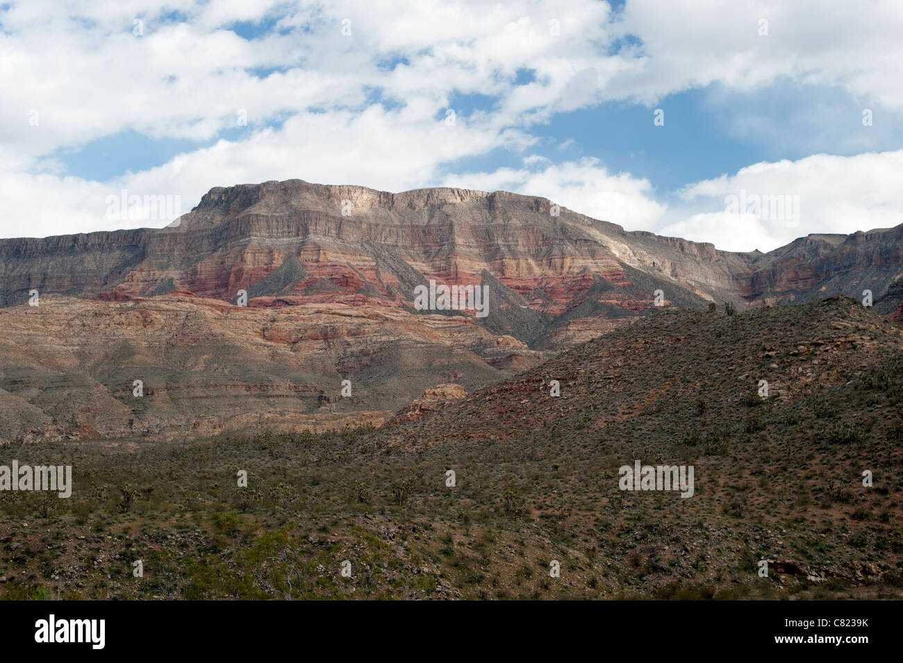 One of the west faces of the cliffs known as Grey Points in the Virgin ...