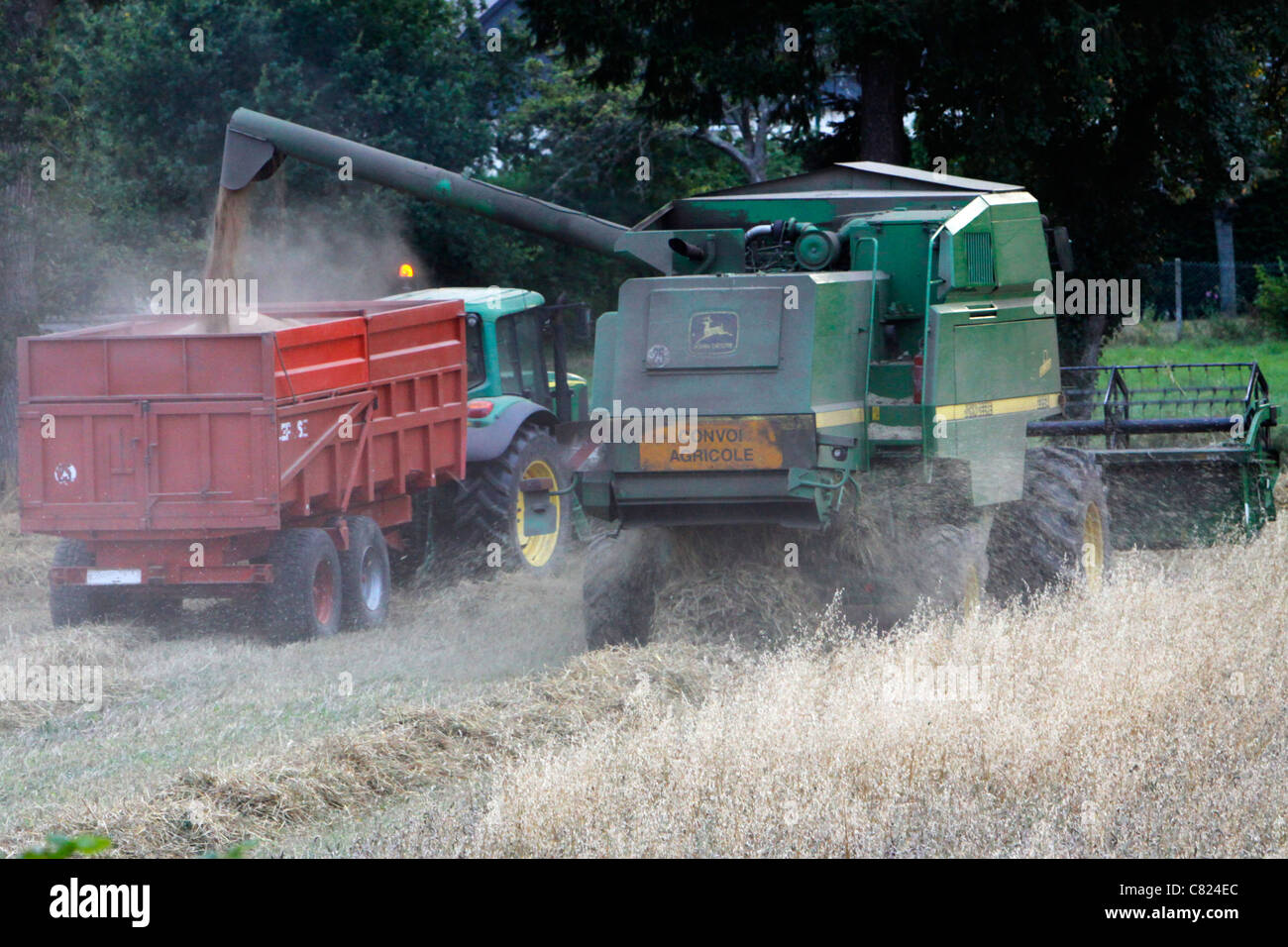 The combine harvester decharge the wheat in the trailer of the tractor Stock Photo