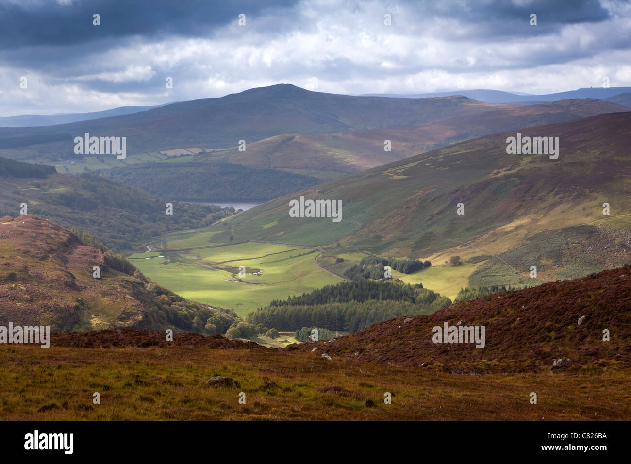 Ireland, Co Wicklow, Mountains National Park from Lough Dan Stock Photo