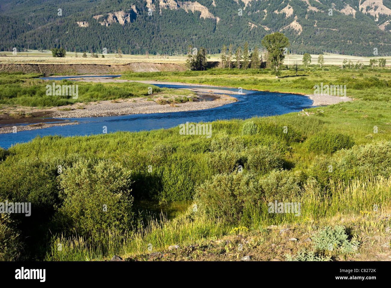 Soda Butte Creek in Lamar Valley at Yellowstone National Park Wyoming USA Stock Photo