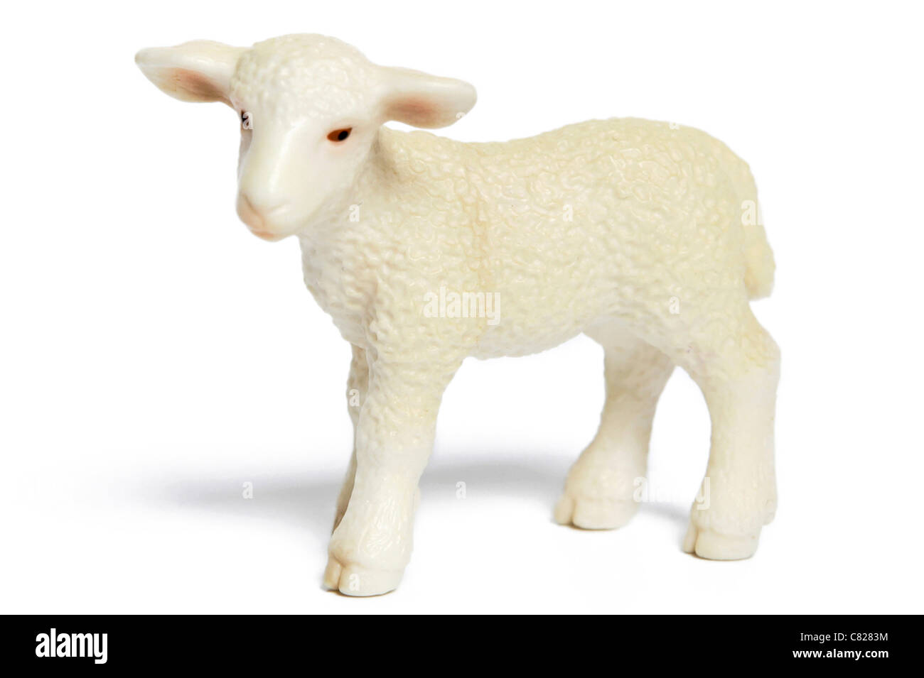 Plastic toy lamb figurine isolated on white background Model Release