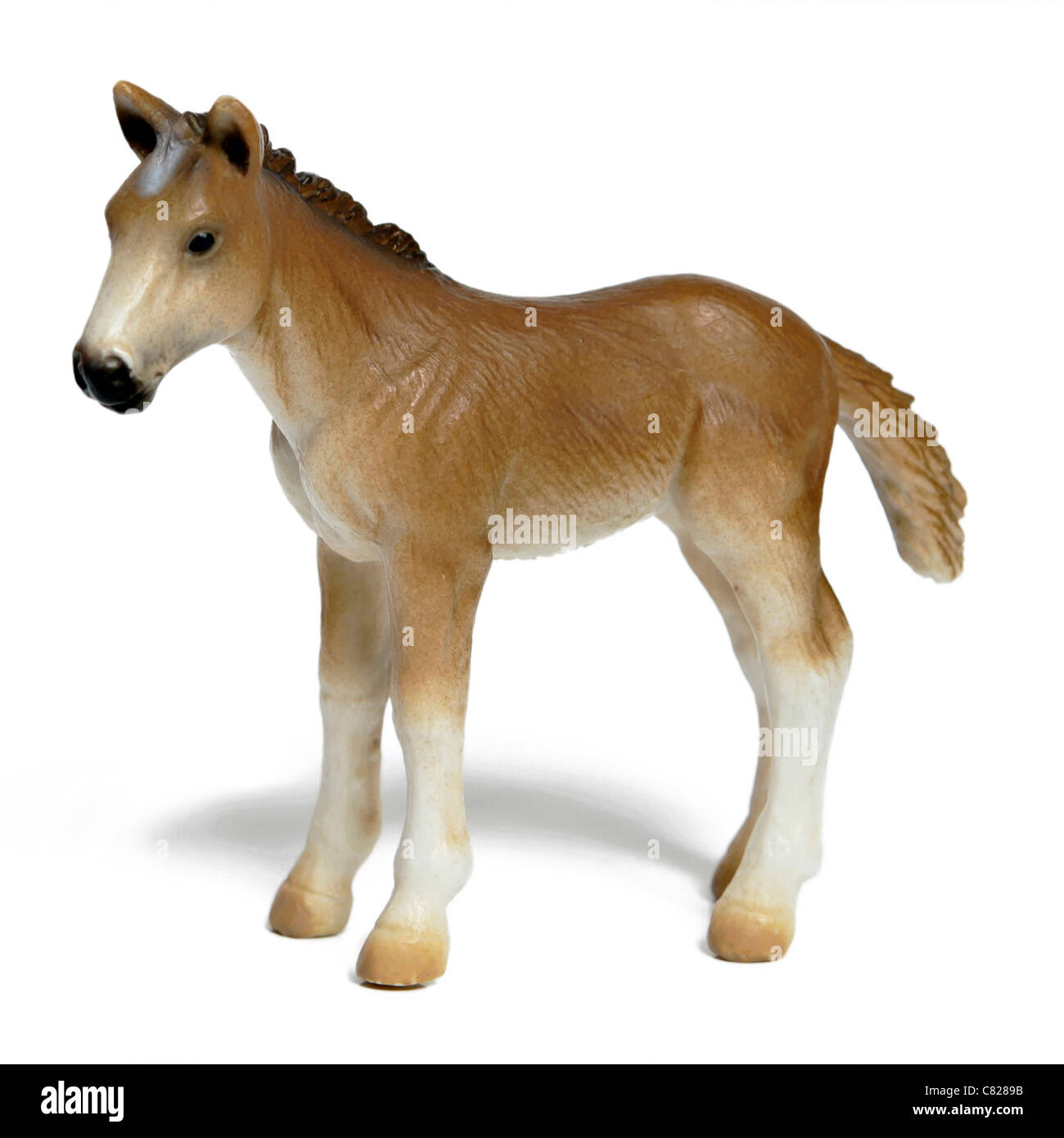 Plastic toy horse foal figurine isolated on white background  Model Release: No. Property Release: No.  All image available for licensing and fine art prints. Use contact details, preferably e-mail martin@martincarlsson.photography or martin@carlssoninc.se Stock Photo