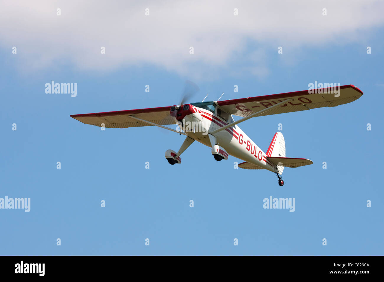 Luscombe aircraft hi-res stock photography and images - Alamy