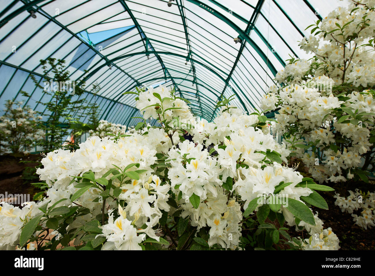 Royal Greenhouses of Laeken, Royal Castle of Laeken, Brussels, Belgium, Europe Stock Photo