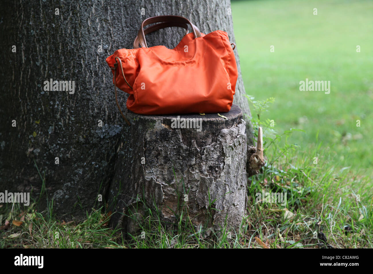 Handtasche in orange, orange bag Stock Photo
