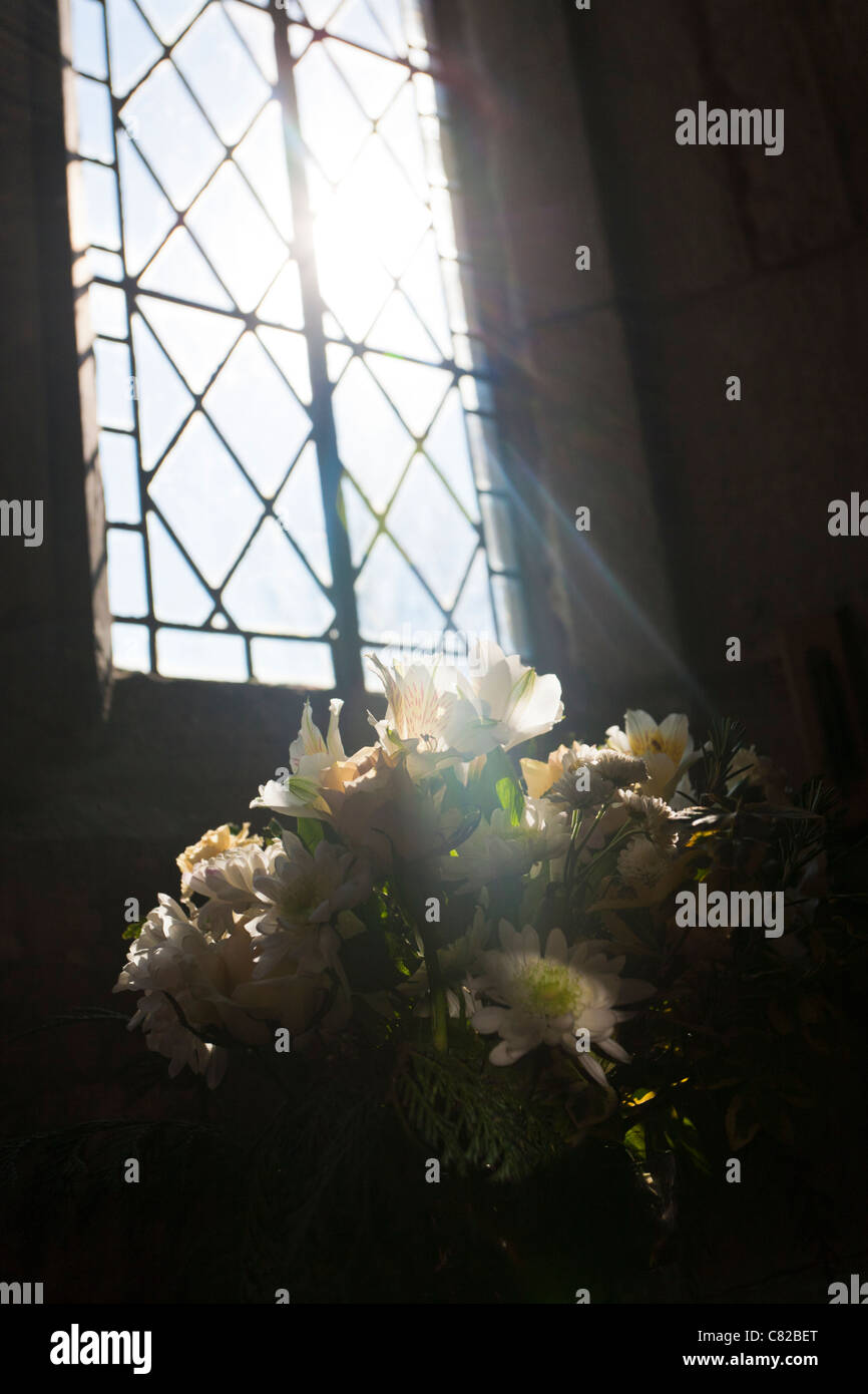 A shaft of sunlight streaming through a church window onto flowers Stock Photo