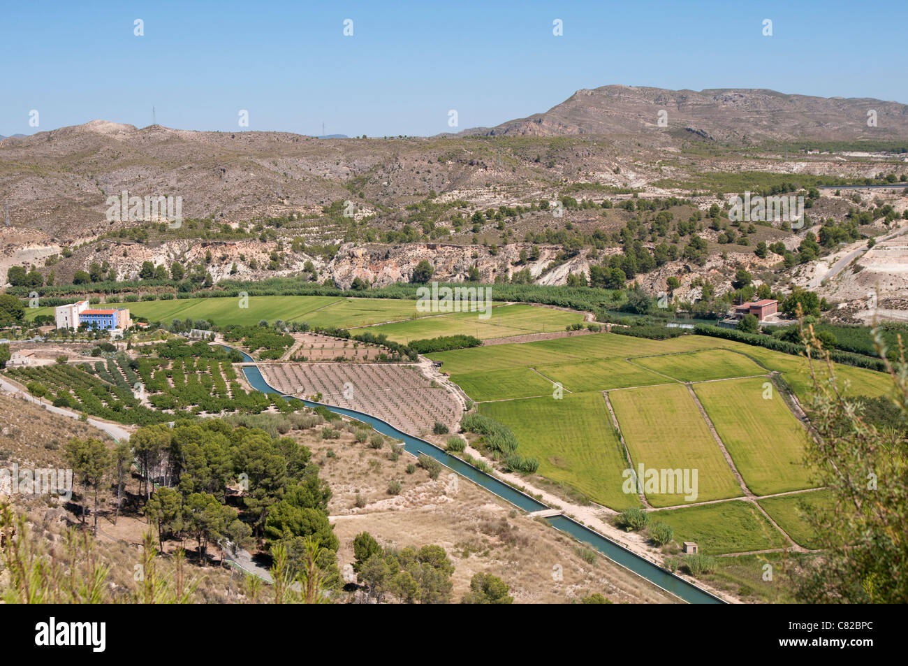 Calasparra Rice is grown in the mountains of the Province of Murcia in Spain,  Europe Stock Photo