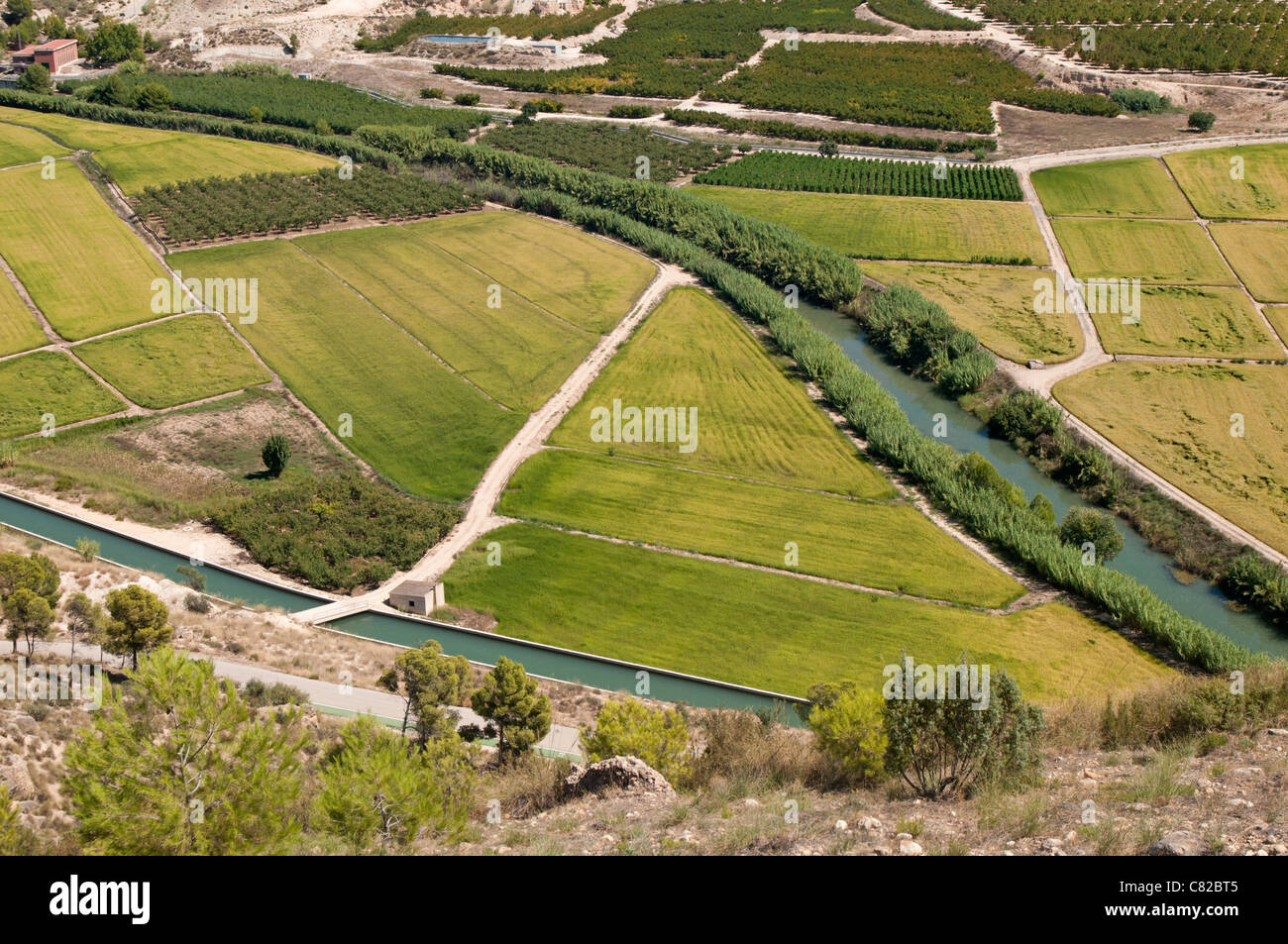Calasparra rice hi-res stock photography and images - Alamy