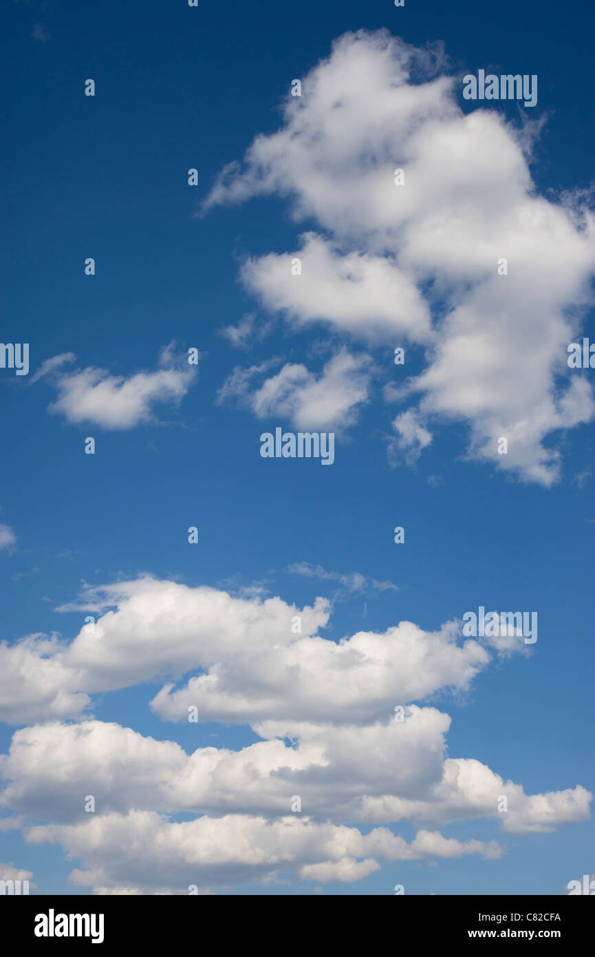 A vertical nature image of the blue sky with white puffy clouds in Alberta Canada. Stock Photo