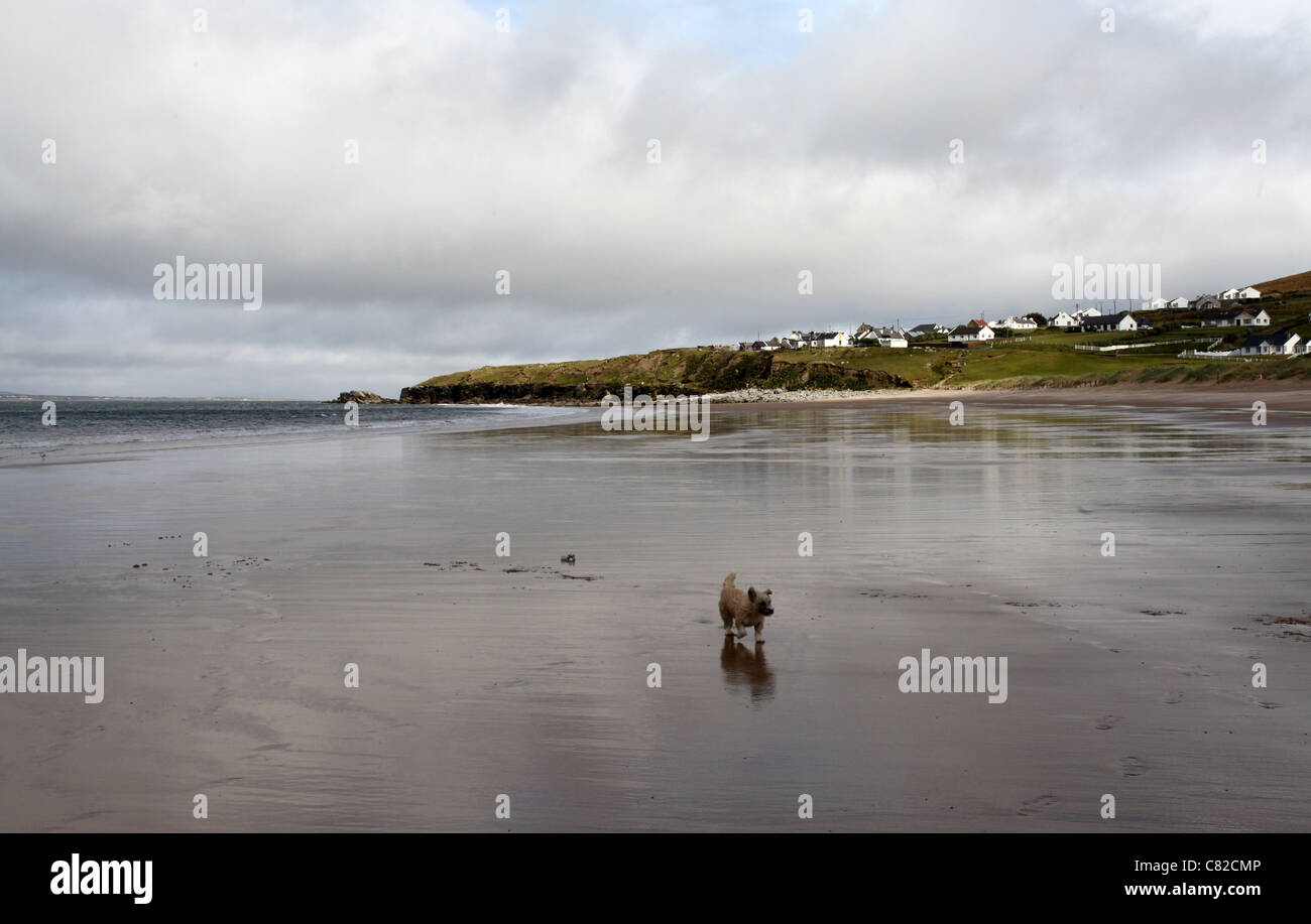 The Beach at Dugort on Achill Island in County Mayo called Golden