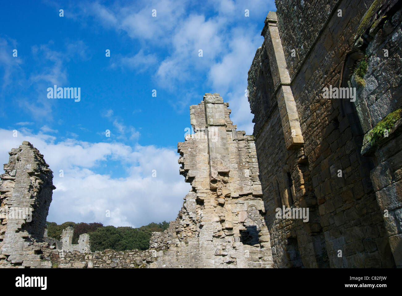 View of Easby Abbey Yorkshire Stock Photo Alamy