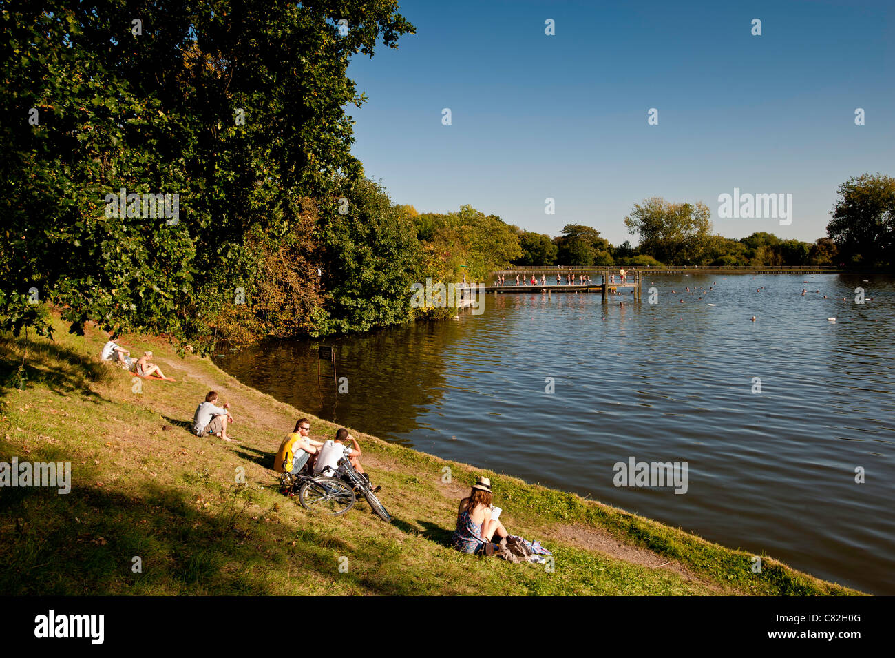 Highgate Mens Bathing Pond, Hampstead Heath, NW3, London, United Kingdom Stock Photo