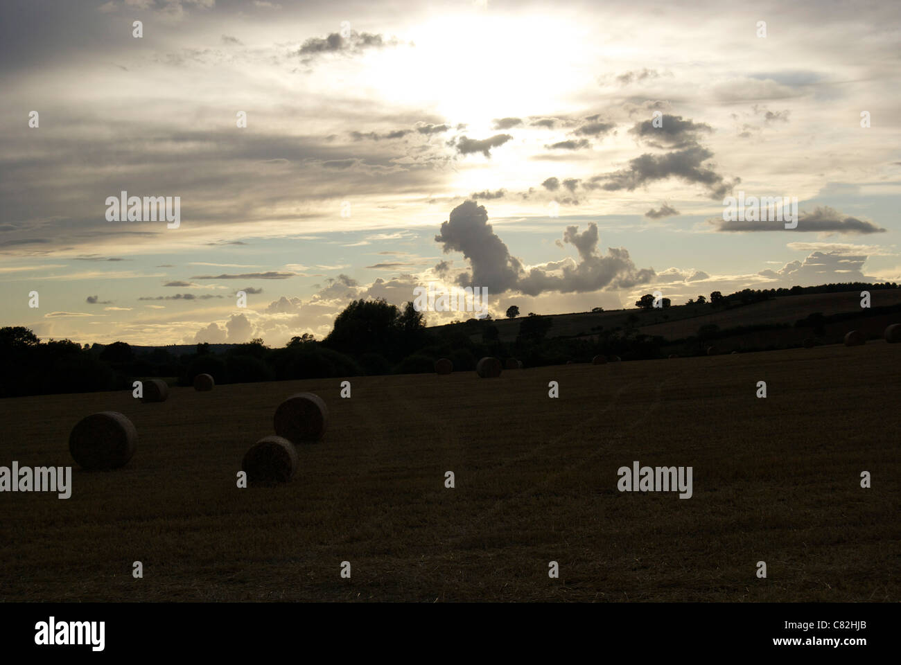 A field with hay bales and setting sun Stock Photo - Alamy
