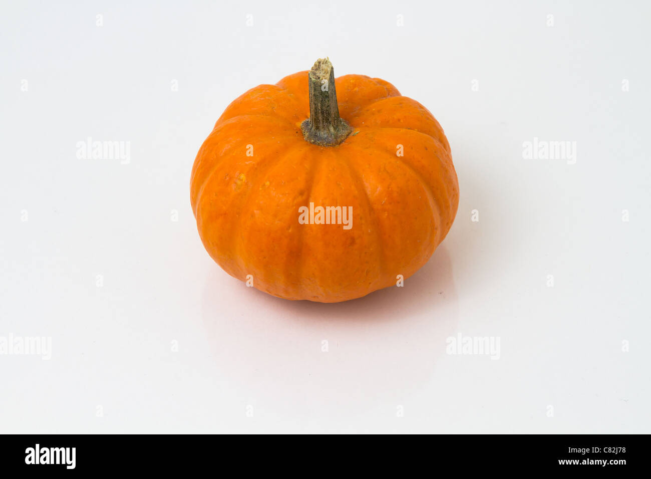 small pumpkin white background Stock Photo