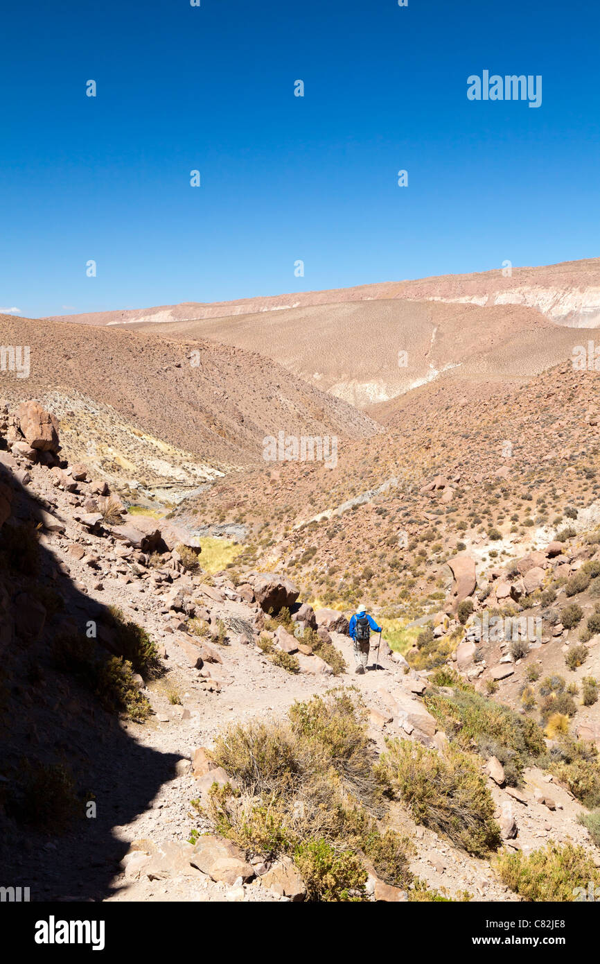 Man hiking on a path in the Rio Grande valley, Atacama Desert, Chile ...