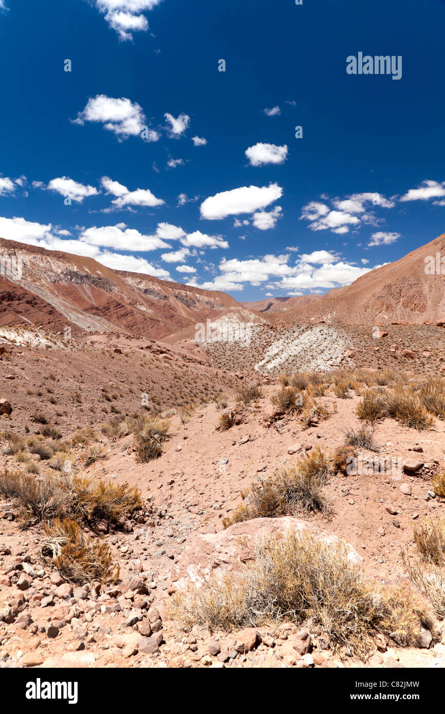 Rio Grande Valley, Atacama Desert, Chile Stock Photo - Alamy