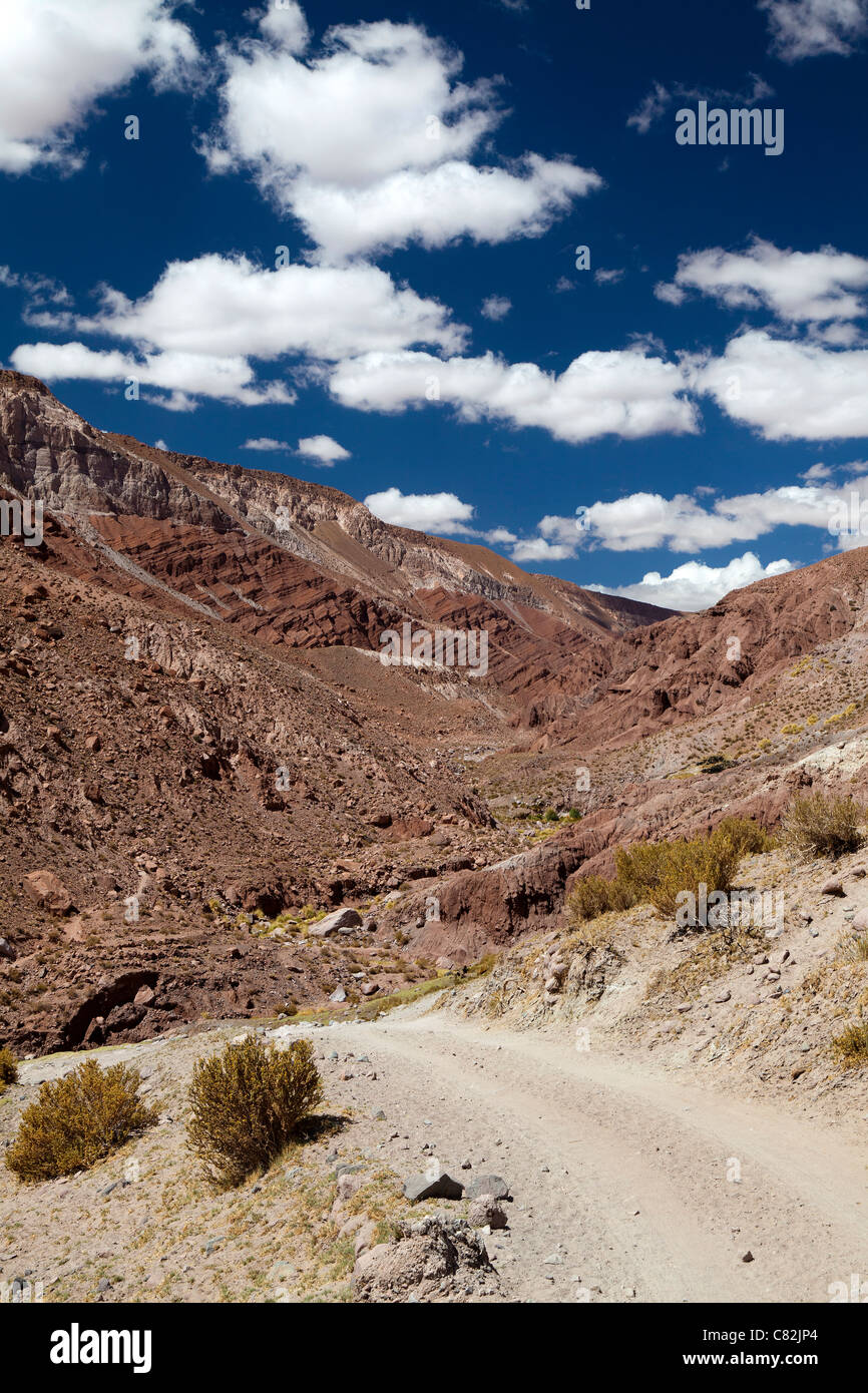 Trail leading through the Rio Grande valley, Atacama Desert, Chile Stock Photo