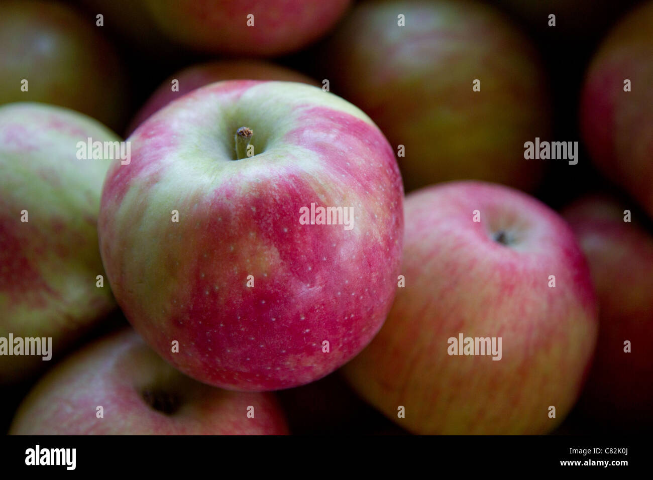 honey crisp apple Stock Photo