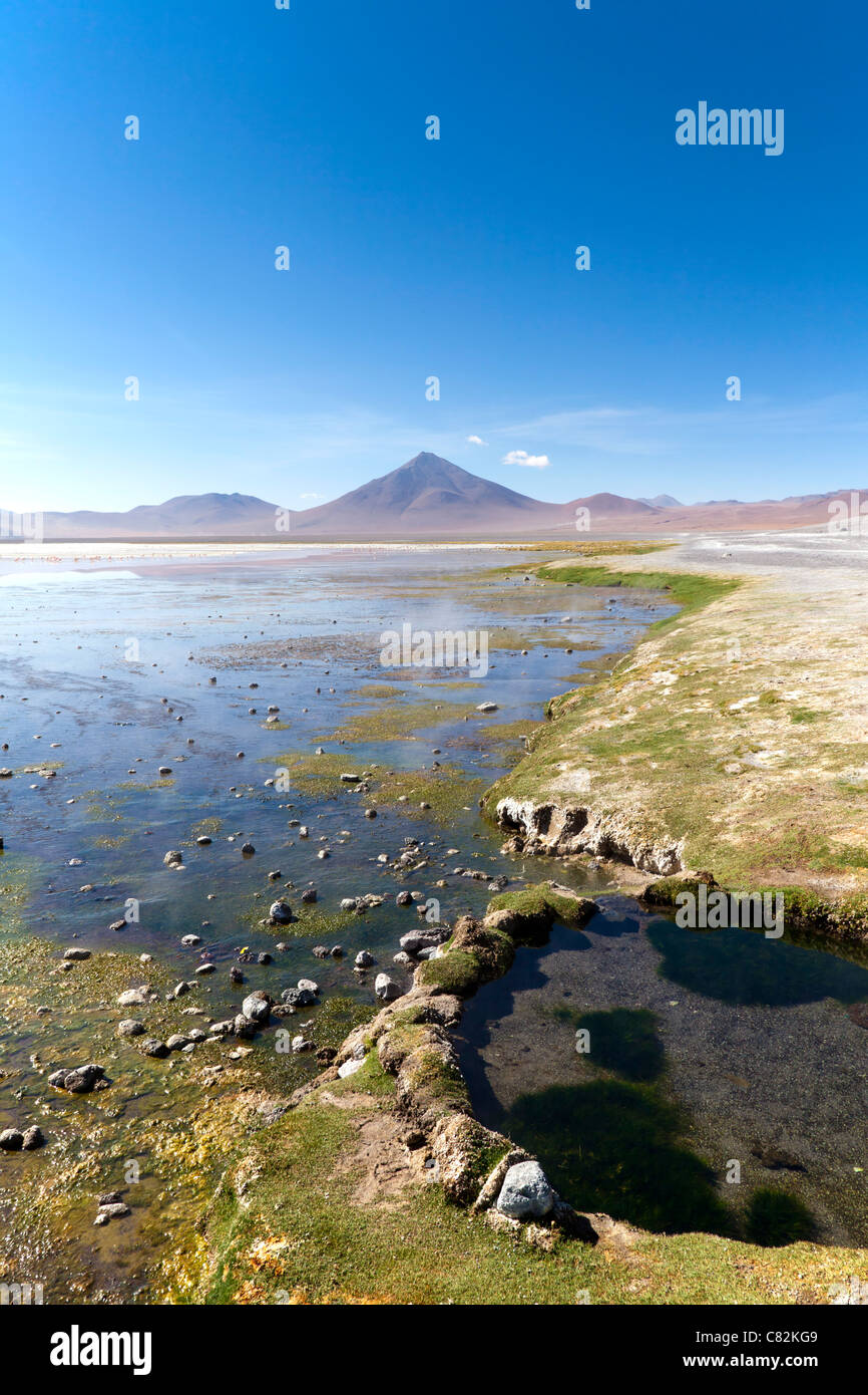 Laguna Polques, Bolivian altiplano Stock Photo