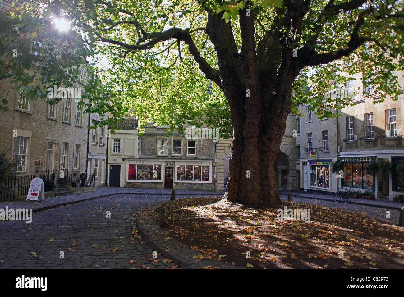 The cobbled Abbey Green with a central Plane tree and surrounding shops ...