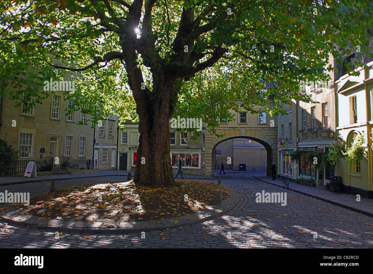 The cobbled Abbey Green with a central Plane tree and surrounding shops ...