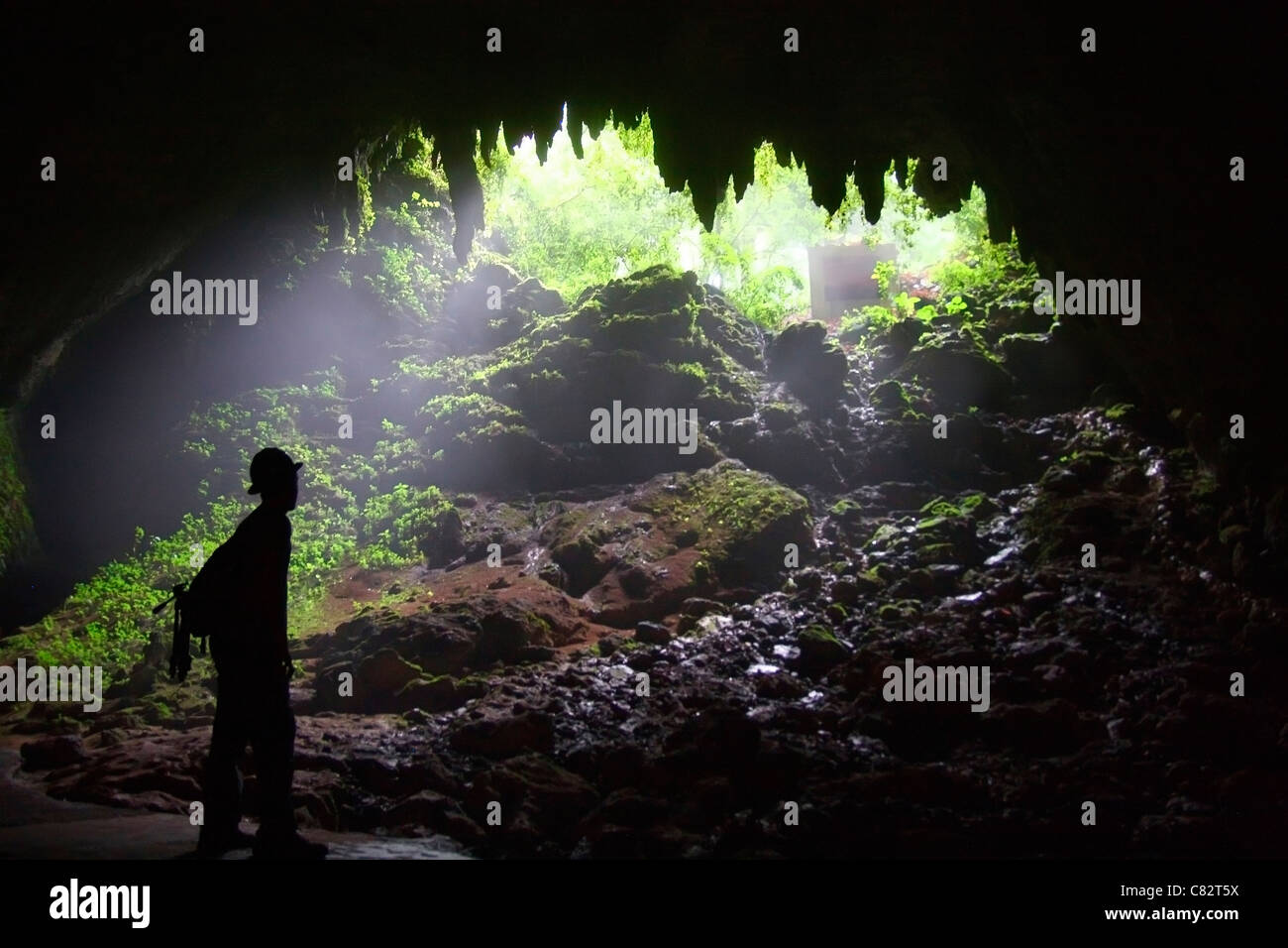 The Camuy caves in Puerto Rico. Stock Photo