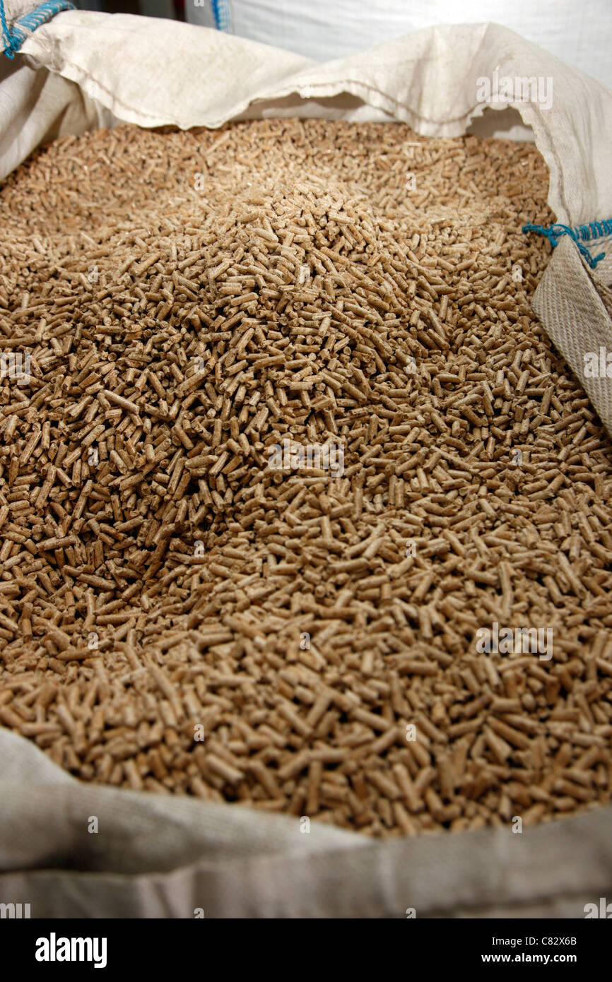 Production of wood pellets. A type of wood fuel. Sawdust is manufactured to pellets. Used in boilers of central heating systems. Stock Photo