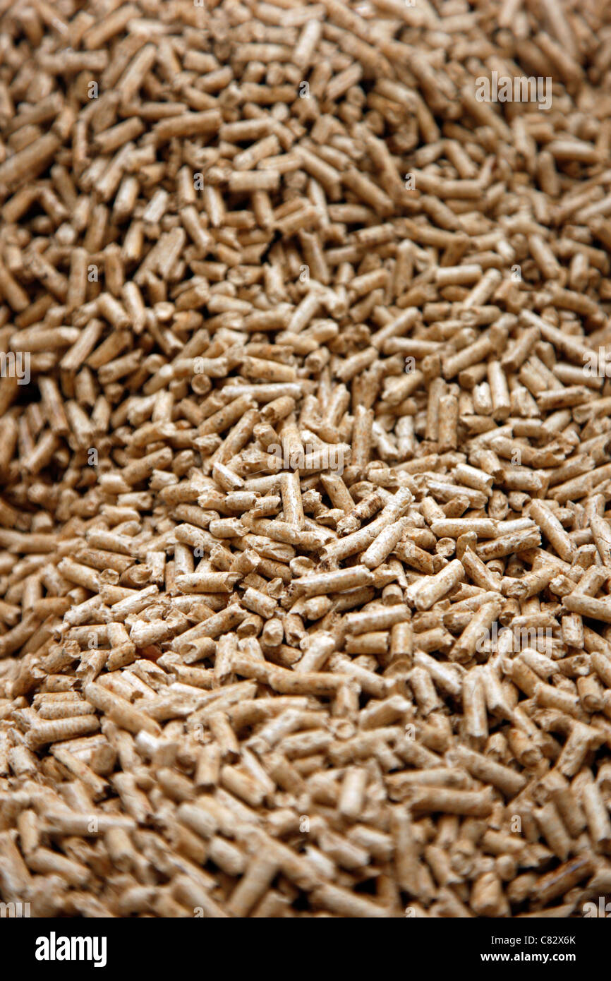 Production of wood pellets. A type of wood fuel. Sawdust is manufactured to pellets. Used in boilers of central heating systems. Stock Photo