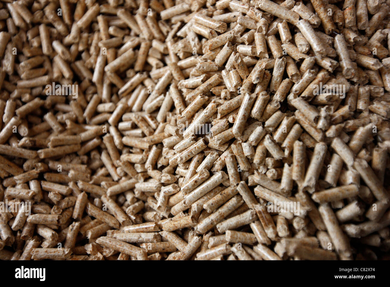 Production of wood pellets. A type of wood fuel. Sawdust is manufactured to pellets. Used in boilers of central heating systems. Stock Photo