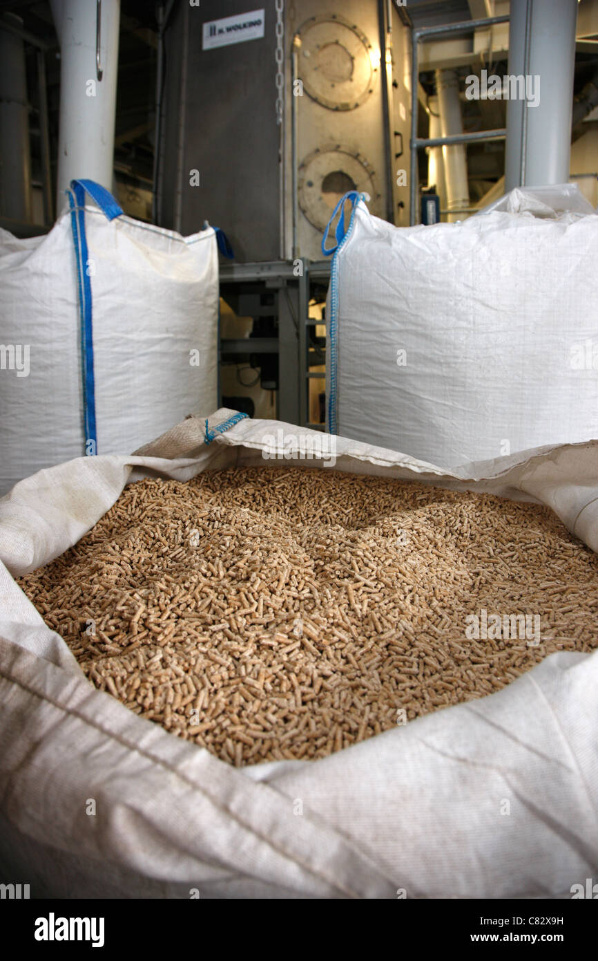 Production of wood pellets. A type of wood fuel. Sawdust is
