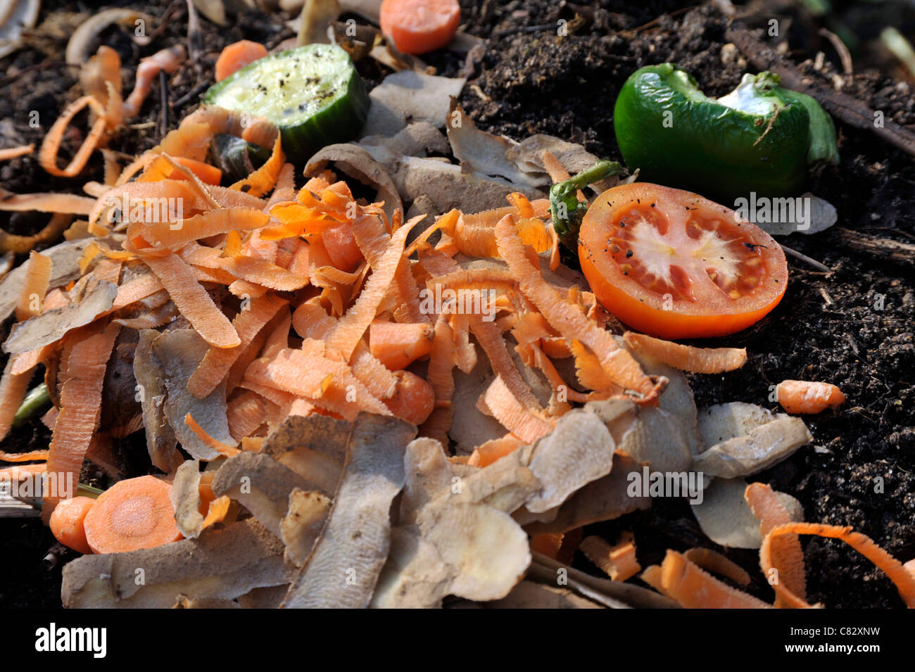 Uncooked food waste such as carrot and potato peelings on a compost heap. Stock Photo
