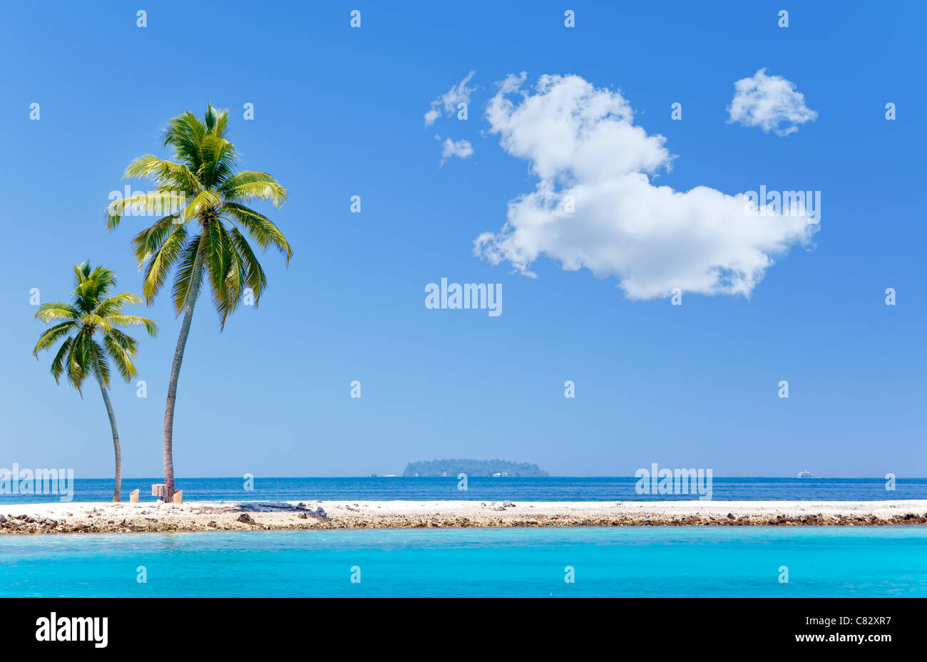 Maldives palm trees view hi-res stock photography and images - Alamy