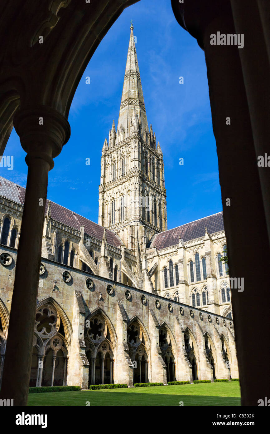 randění v salisbury wiltshire
